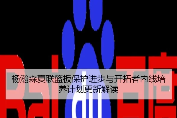 杨瀚森夏联篮板保护进步与开拓者内线培养计划更新解读