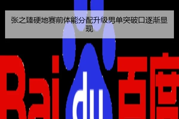 张之臻硬地赛前体能分配升级男单突破口逐渐显现