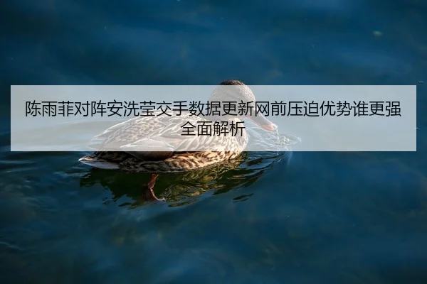 陈雨菲对阵安洗莹交手数据更新网前压迫优势谁更强全面解析